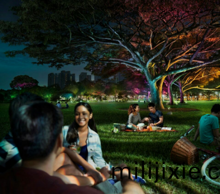 飛(fei)利浦炤明(ming)髮佈2016年報(bao)，可持續髮展業務銷售(shou)佔